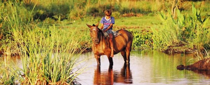 Local boy on horseback reflects in Argentina's Esteros del Iberá